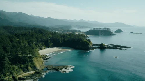 Captivating Coastal Beauty: A Serene View of Nature's Splendor