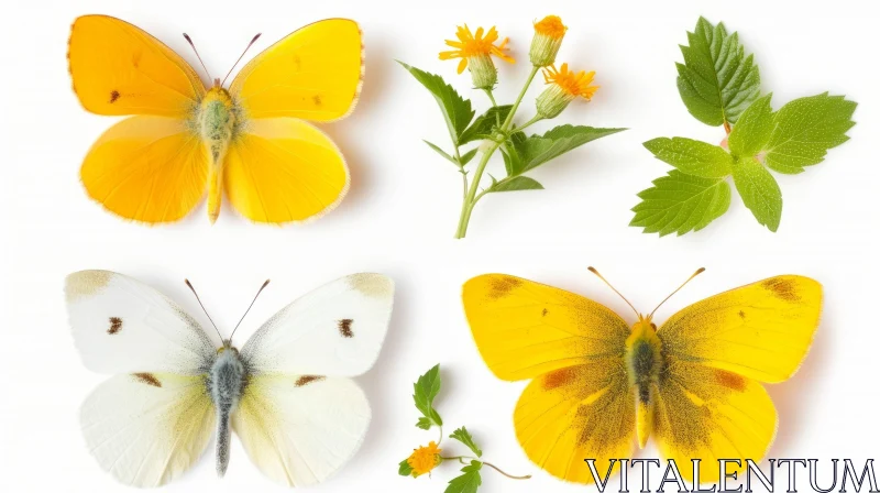 Exquisite Butterflies and Green Plants on a White Background AI Image