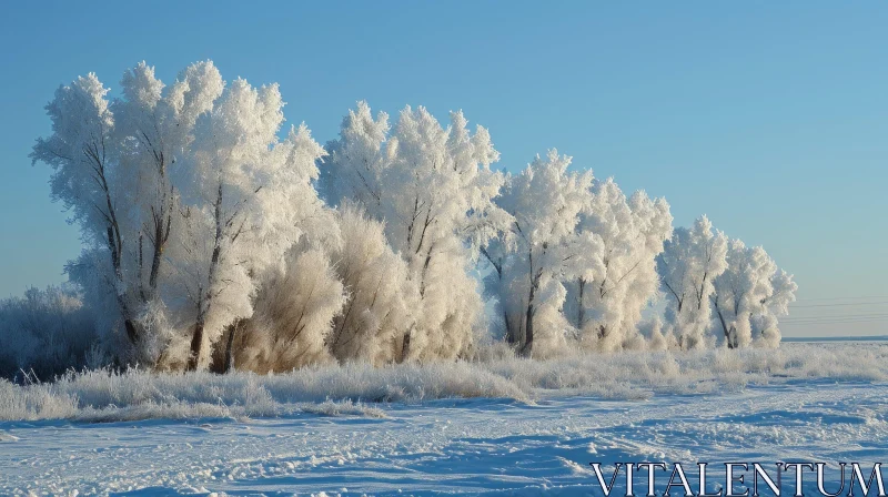 Winter Landscape with Snow-Covered Trees - Serene Nature Scene AI Image