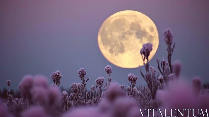 Full Moon Rising over Lavender Field - Serene Nature Image AI Image
