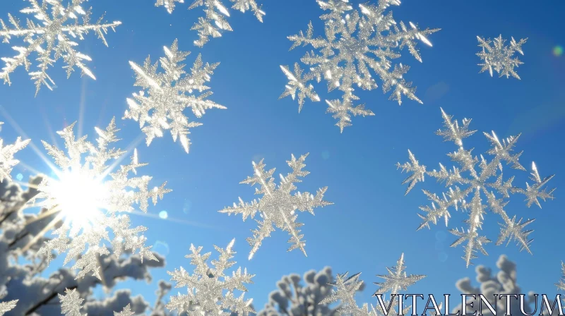 Winter Window: Sparkling Snowflakes in Sunlight AI Image