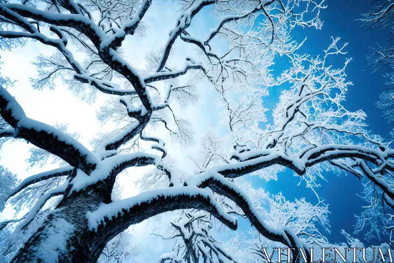 Captivating Winter Trees Covered with Snow in a Serene Blue Sky AI Image