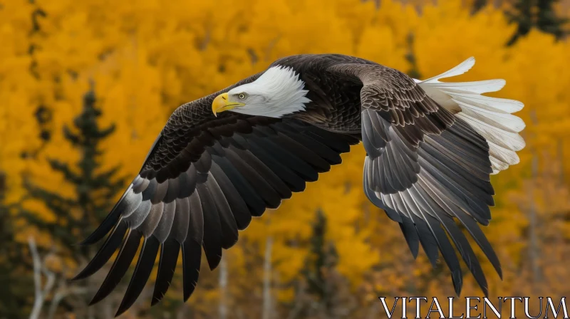 Majestic Bald Eagle Soaring in Vibrant Autumn Forest AI Image