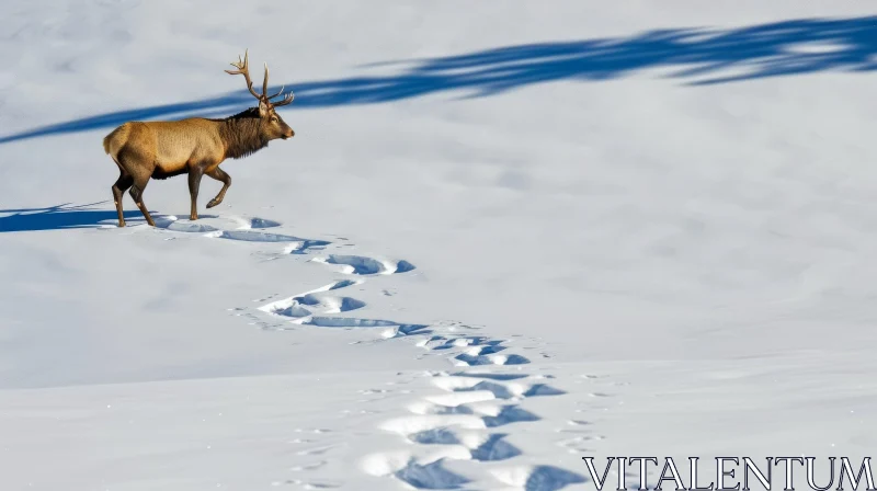 Majestic Elk Walking in Snow - Nature Photography AI Image