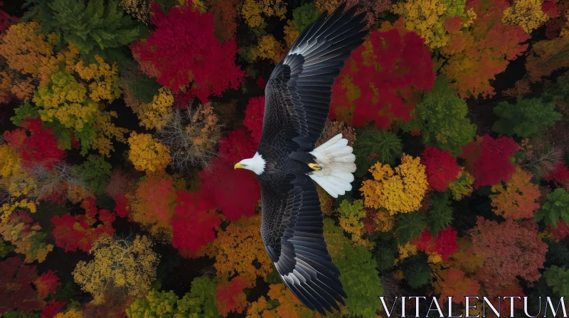 Bald Eagle Flying Over Colorful Forest - Captivating Nature Image AI Image