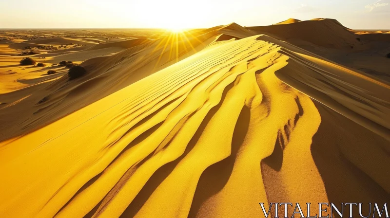 Tranquil Sand Dunes at Sunset - Captivating Nature Photography AI Image