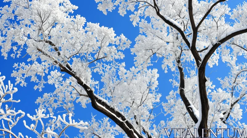 Snow-Covered Tree Against Blue Sky - A Captivating Winter Scene AI Image