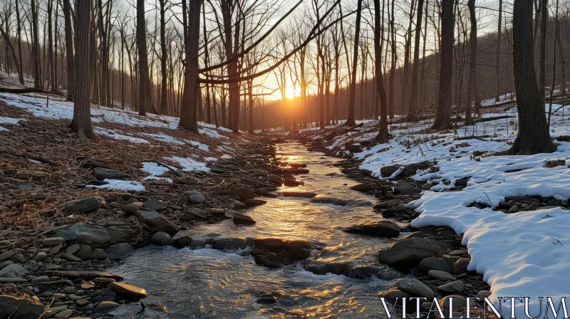 Peaceful Winter Landscape with Shining Sun and Serene Creek AI Image