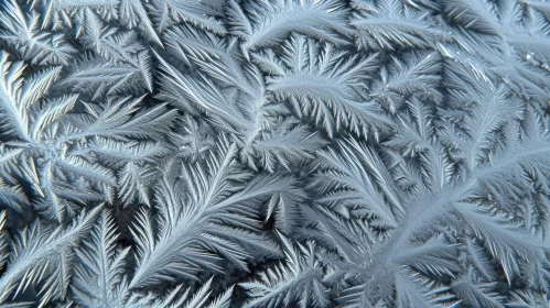 Frosted Window - Delicate Ice Crystals Pattern | Winter-themed Image