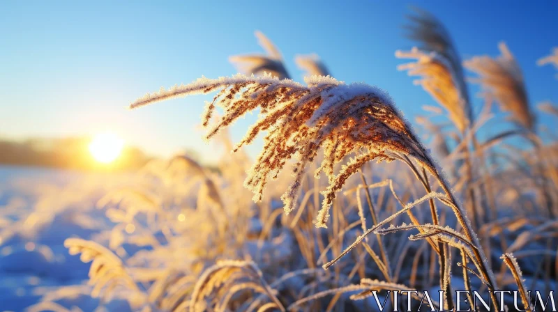 Frost-Covered Plant in Sunlight: A Captivating Nature Close-Up AI Image