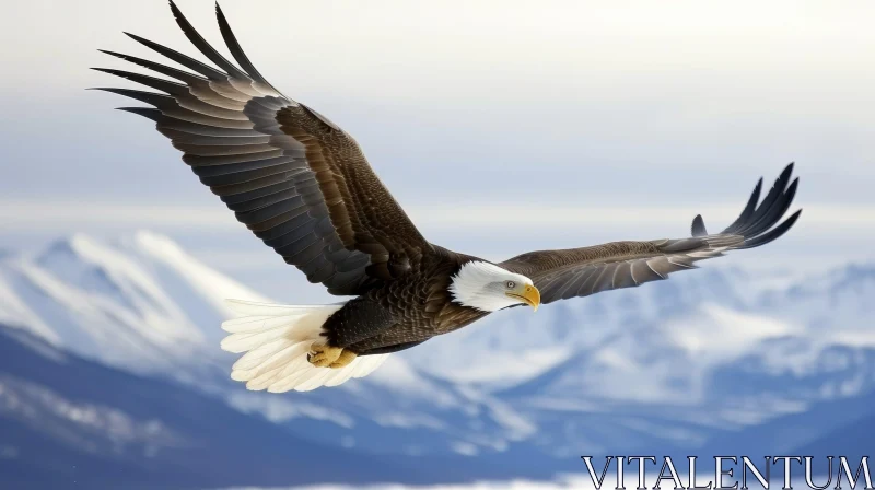 Majestic Bald Eagle Flying Over Snowy Mountain Range AI Image