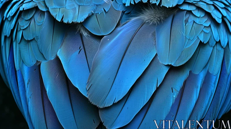 Close-Up of Blue Feathers on a Parrot - Vibrant Colors and Smooth Texture AI Image