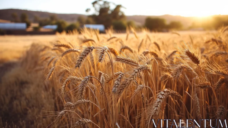 AI ART Golden Wheat Field Close-Up | Serene Nature Photography