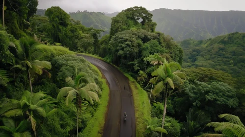 Exploring the Tropical Rainforest: Aerial View of Motorcyclist