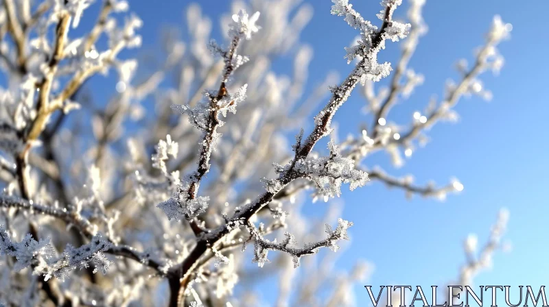 Delicate Frost-Covered Tree Branch Against Blue Sky AI Image