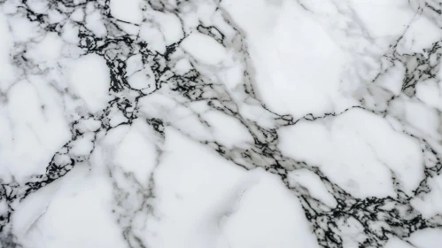 Elegant White Marble Texture with Black Veins