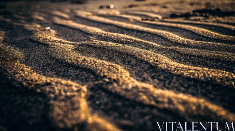 Close-Up of Wet Sand on a Beach | Sunlit Texture and Shadows AI Image