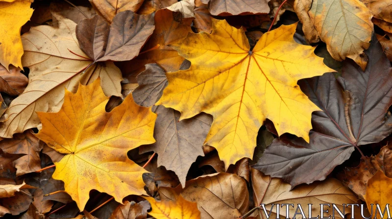 Fallen Leaves in Autumn - Vibrant Colors and Organic Beauty AI Image