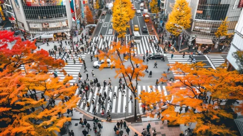 Shibuya Tokyo Intersection in Autumn