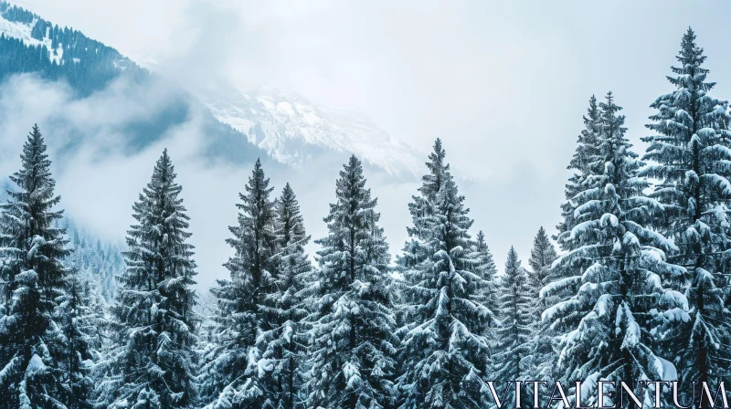 Serene Winter Landscape with Snow-Covered Trees and Mountains