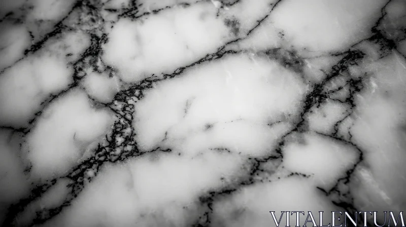Intricate Black and White Marble Texture | High-Resolution Photo AI Image