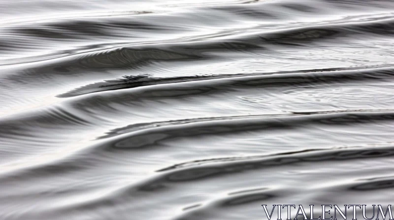Black and White Water Surface with Gentle Waves - Calming Background AI Image