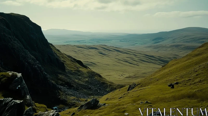 Scenic Valley Landscape in Scottish Highlands AI Image