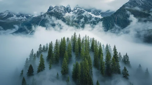 Mystical Mountain Valley Landscape Photo