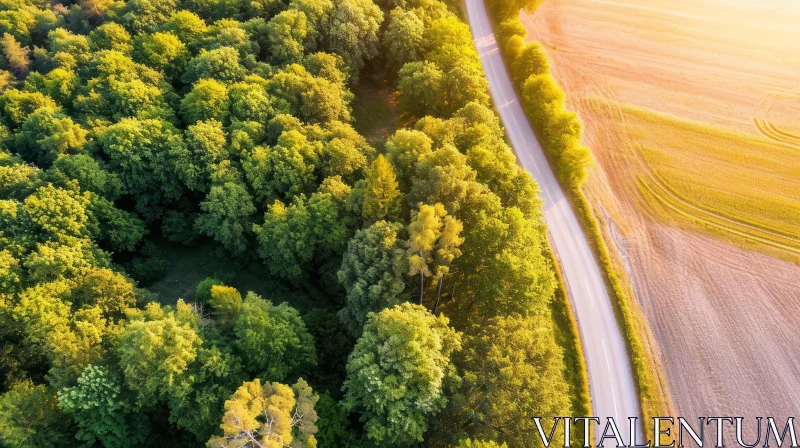 Aerial View of Winding Road Through Green Forest AI Image