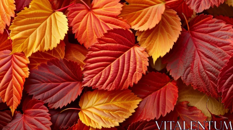 Close-Up of Fallen Autumn Leaves in Vibrant Colors AI Image
