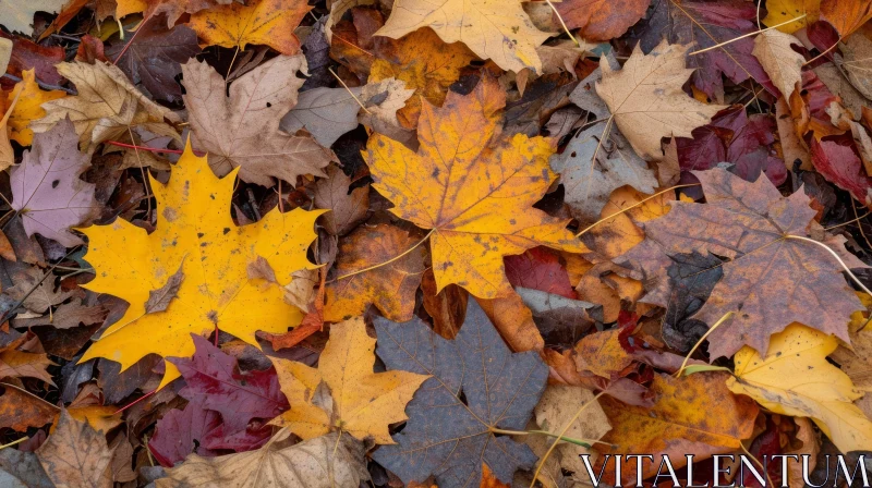 Vibrant Autumn Leaves Close-Up | Captivating Nature Photography AI Image