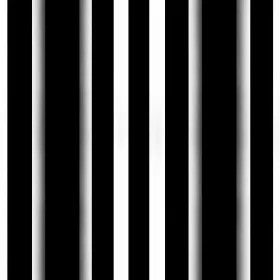 Monochrome Vertical Stripes Pattern