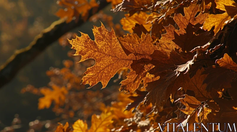 Close-Up of Autumn Leaves on a Branch | Natural Beauty AI Image