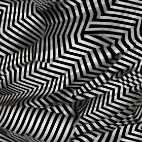 Intriguing Black and White Geometric Pattern