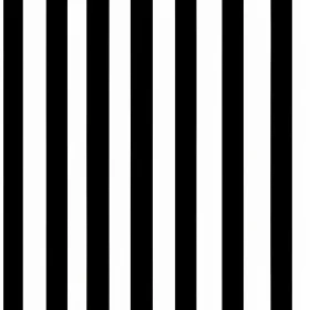 Monochrome Vertical Stripes Pattern | Abstract Design