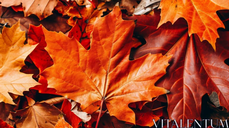 Close-Up of Fallen Maple Leaves | Warm Autumn Colors AI Image