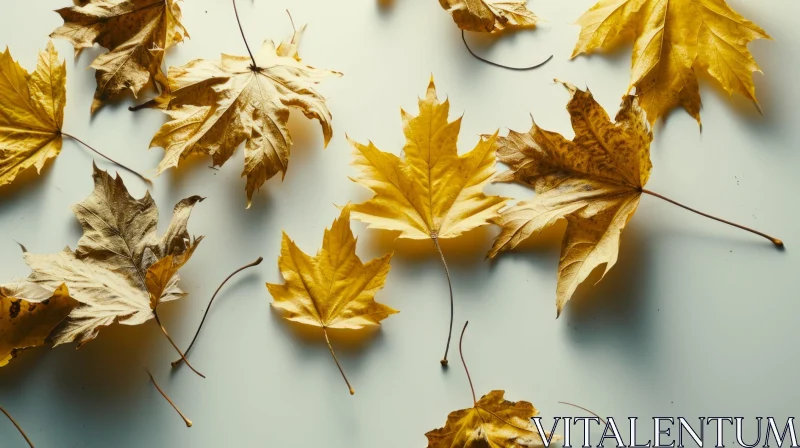 Close-up of Fallen Autumn Leaves on White Background AI Image