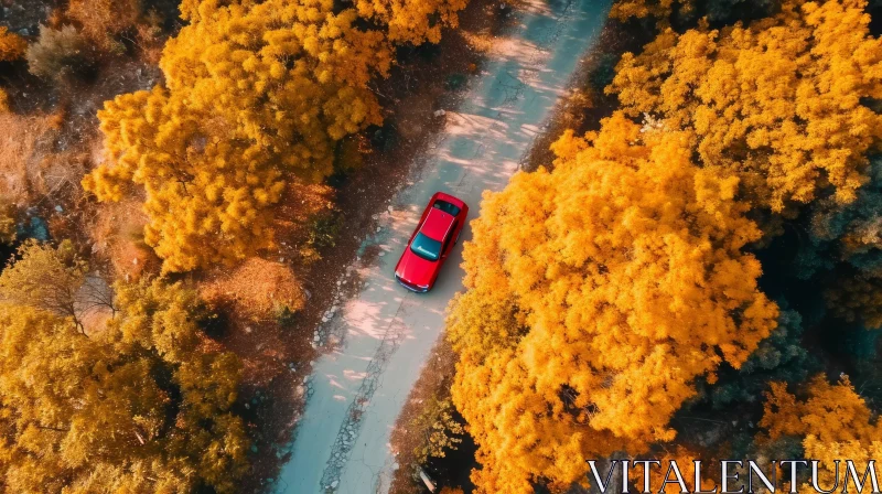 Aerial View of Red Car Driving Through Colorful Autumn Forest AI Image