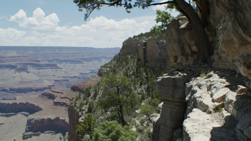 Grand Canyon Natural Wonder Photography