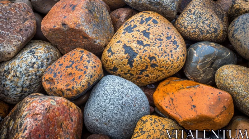 Close-Up of Wet Rocks: Colors, Textures, and Natural Beauty AI Image