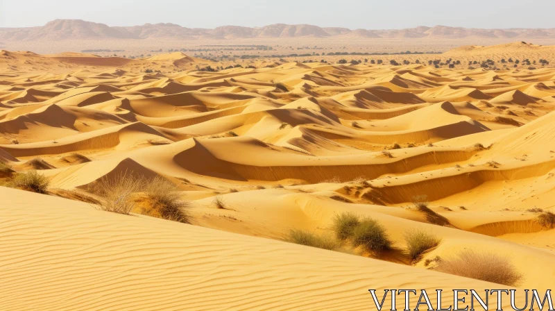 Golden Sand Dunes in the Sahara Desert of Africa AI Image