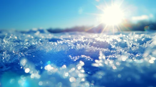 Captivating Snow and Ice Crystals in Bright Sunlight - Nature Photography