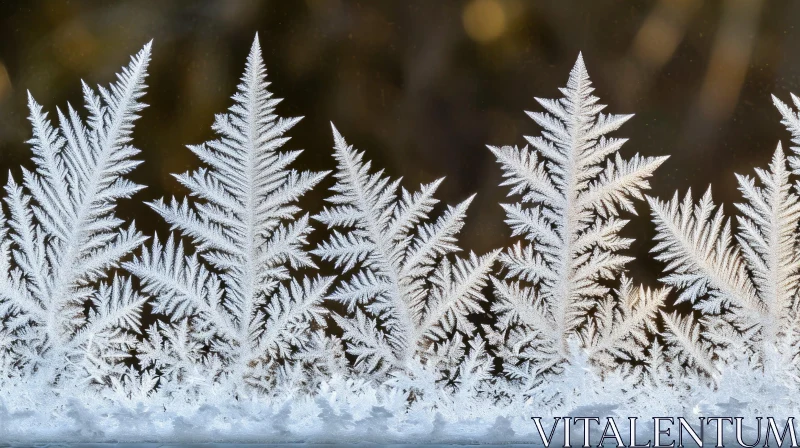 Delicate Frost Patterns on Window | Natural Artistry AI Image