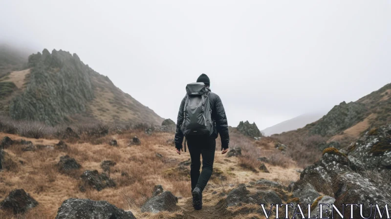 Man Walking on Rocky Mountain Path AI Image