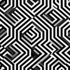 Geometric Black and White Hexagon Pattern