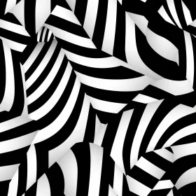 Black and White Striped Pattern - 3D Effect
