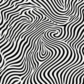 Zebra Skin Seamless Pattern - Vector Illustration