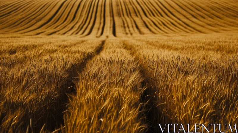 Golden Wheat Field: A Captivating Natural Beauty AI Image