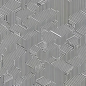 Monochrome Geometric Pattern with Hexagons and Lines