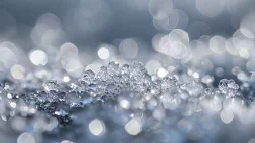 Close-up of Beautiful Ice Crystals Reflecting Sunlight